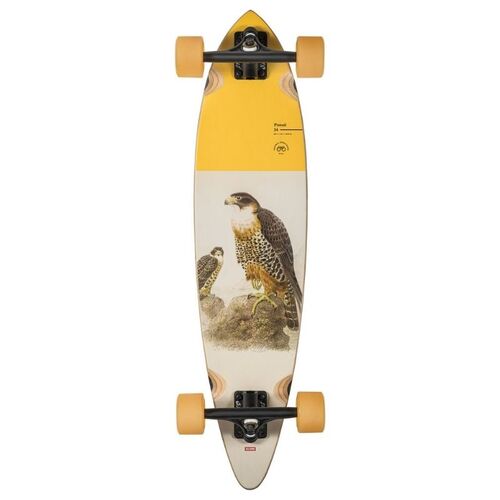 Globe Falcon Pintail Longboard 34"