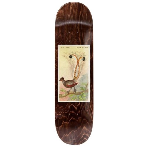 Passport Dean Palmer Bird Deck 8.38"